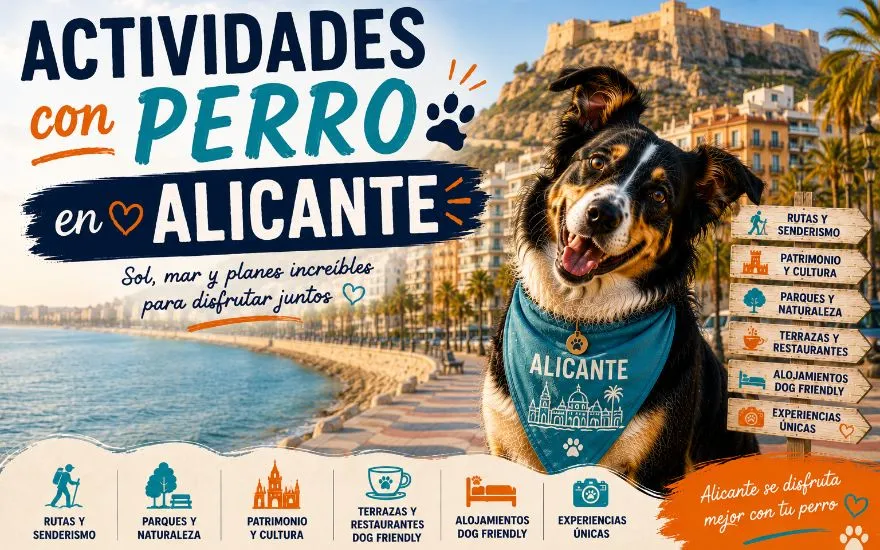 Imagen de Actividades con perro en Alicante: Guía completa 2026