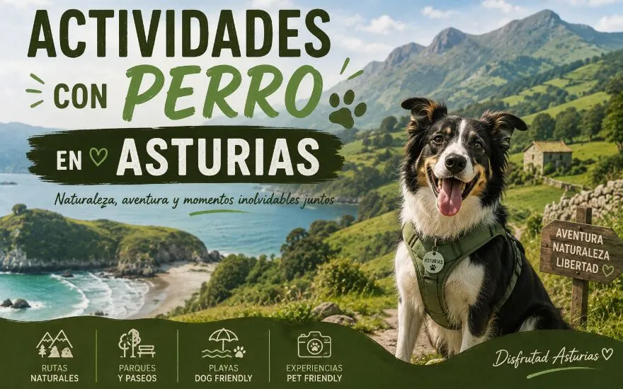 Imagen de Actividades con perro en Asturias: Guía completa 2026