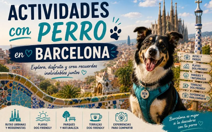 Imagen de Actividades con perro en Barcelona: Guía completa 2025