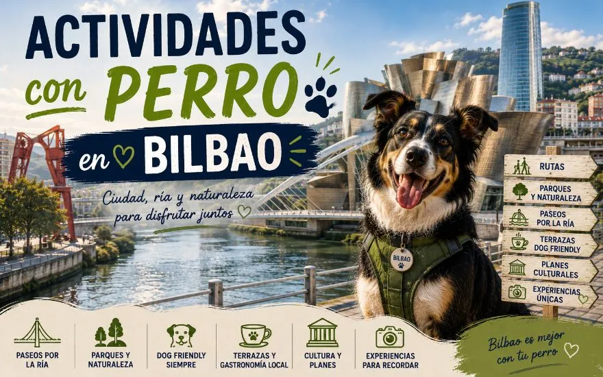 Imagen de Actividades con perro en Bilbao: Guía completa 2026