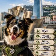 Imagen de Actividades con perro en Bilbao: Guía completa 2026