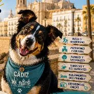 Imagen de Actividades con perro en Cádiz: Guía completa 2026