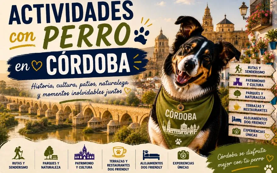 Imagen de Actividades con perro en Córdoba: Guía completa 2026