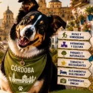 Imagen de Actividades con perro en Córdoba: Guía completa 2026
