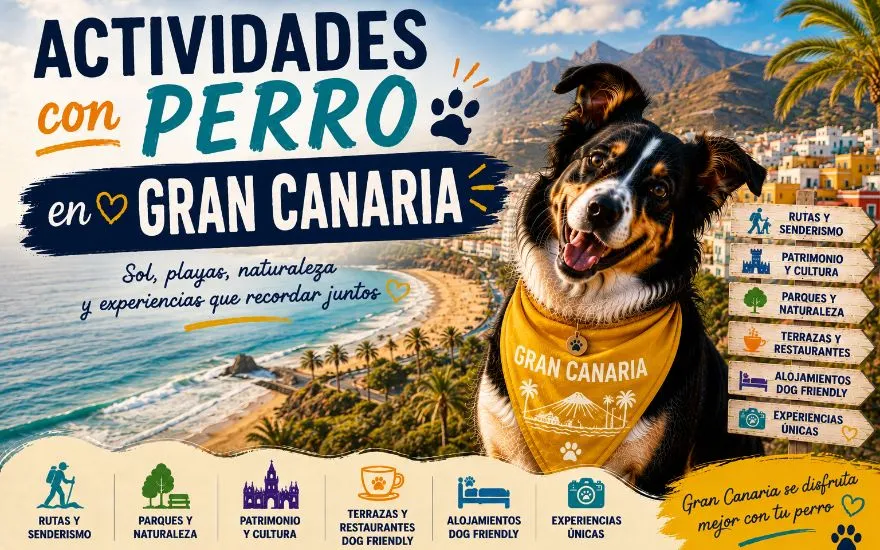 Imagen de Actividades con perro en Gran Canaria: Guía completa 2026