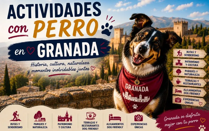 Imagen de Actividades con perro en Granada: Guía completa 2026