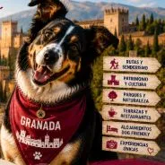 Imagen de Actividades con perro en Granada: Guía completa 2026