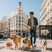 Imagen de Actividades con perro en Madrid: Guía completa 2026