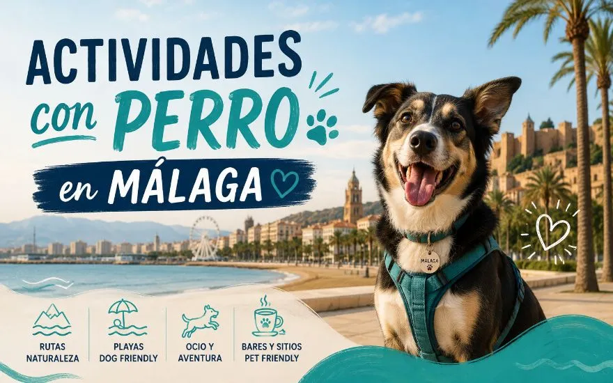 Imagen de Actividades con perro en Málaga: Guía completa 2026