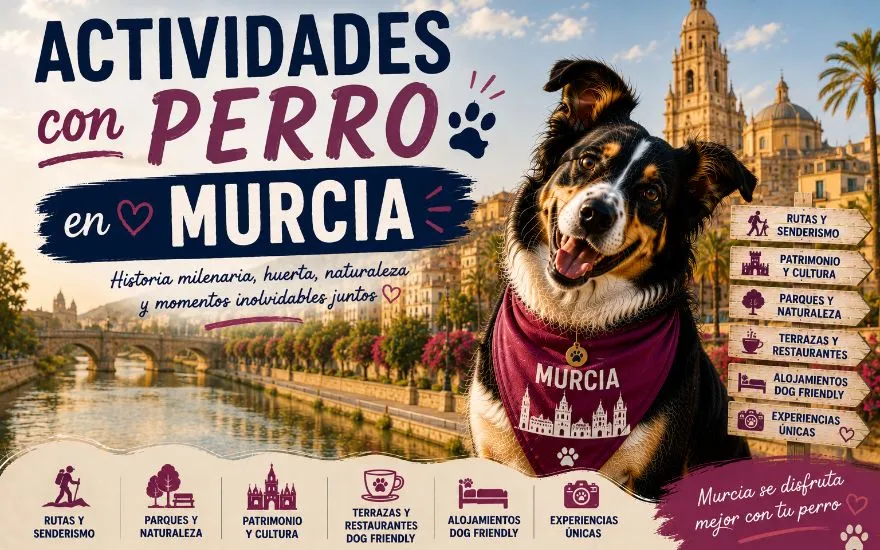 Imagen de Actividades con perro en Murcia: Guía completa 2026