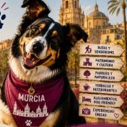 Imagen de Actividades con perro en Murcia: Guía completa 2026