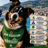 Imagen de Actividades con perro en San Sebastián: Guía completa 2026