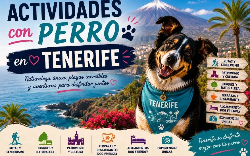 Imagen de Actividades con perro en Tenerife: Guía completa 2026