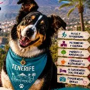 Imagen de Actividades con perro en Tenerife: Guía completa 2026