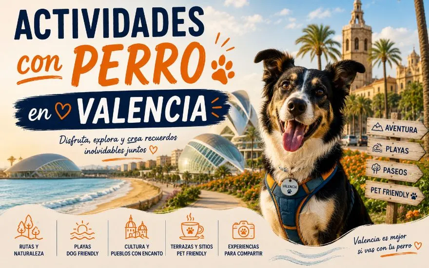 Imagen de Actividades con perro en Valencia: Guía completa 2026