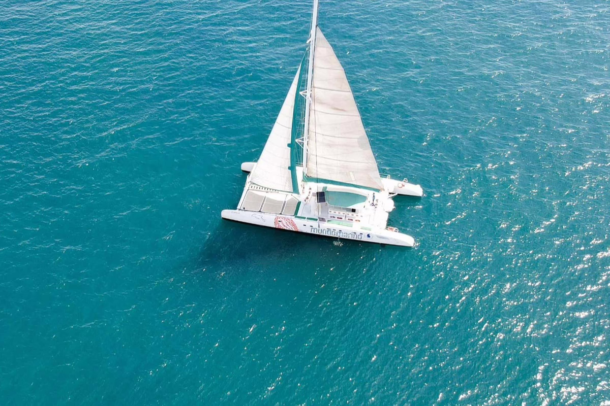 Paseo en catamarán por Valencia