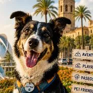 Imagen de Actividades con perro en Valencia: Guía completa 2026