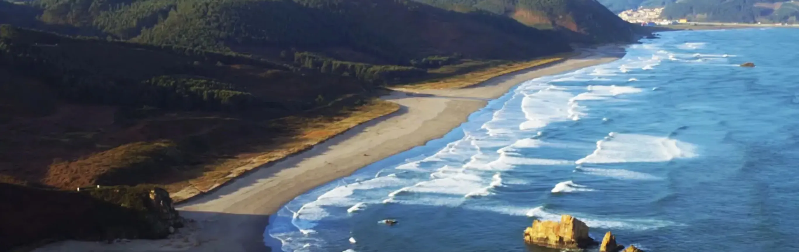 Imagen de Playas caninas en Asturias