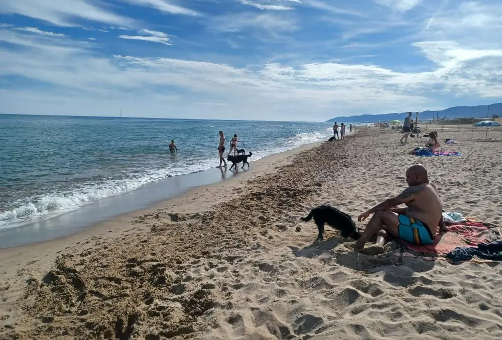 Platja dels Gossos Gavá (Barcelona)