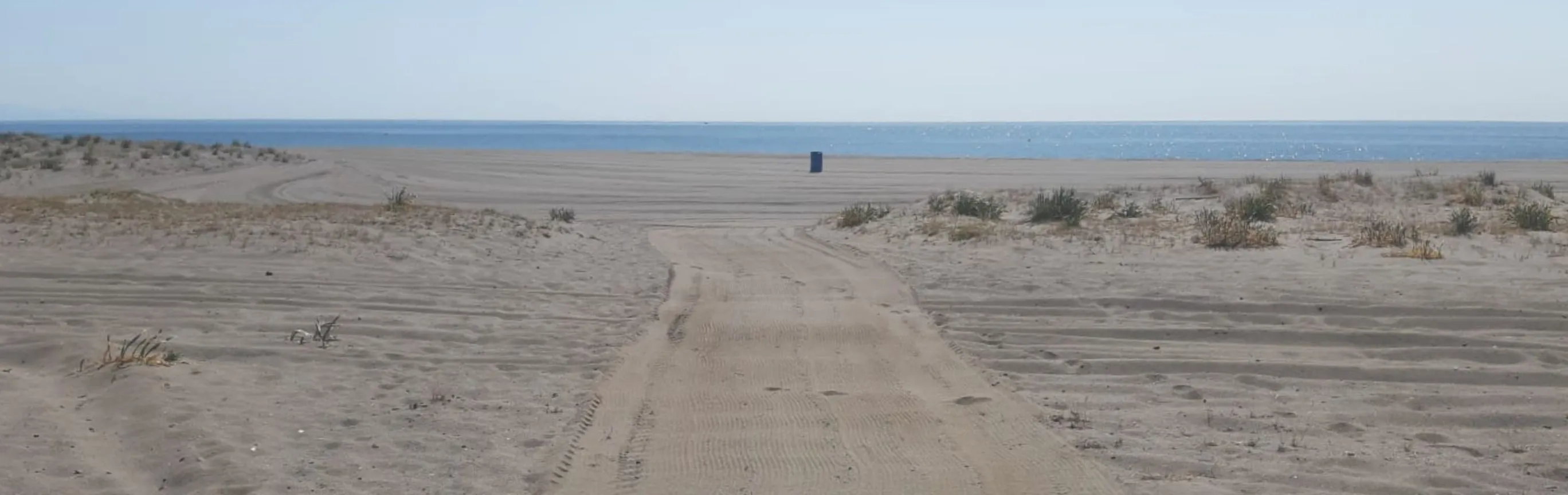 Imagen de Playas caninas en Cádiz: guía completa para ir con perro