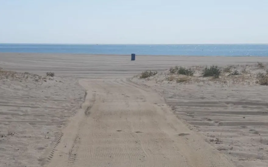 Imagen de Playas caninas en Cádiz: guía completa para ir con perro