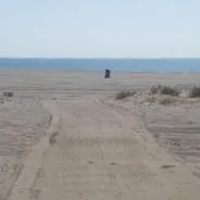 Imagen de Playas caninas en Cádiz: guía completa para ir con perro