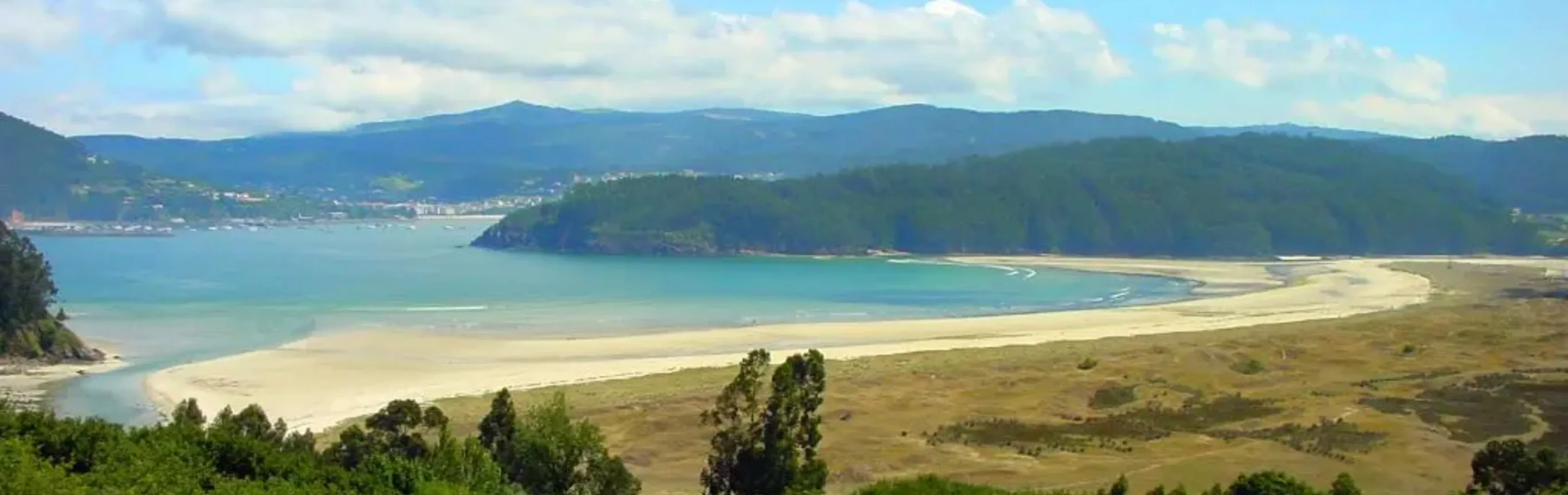Imagen de Playas caninas en A Coruña, Galicia