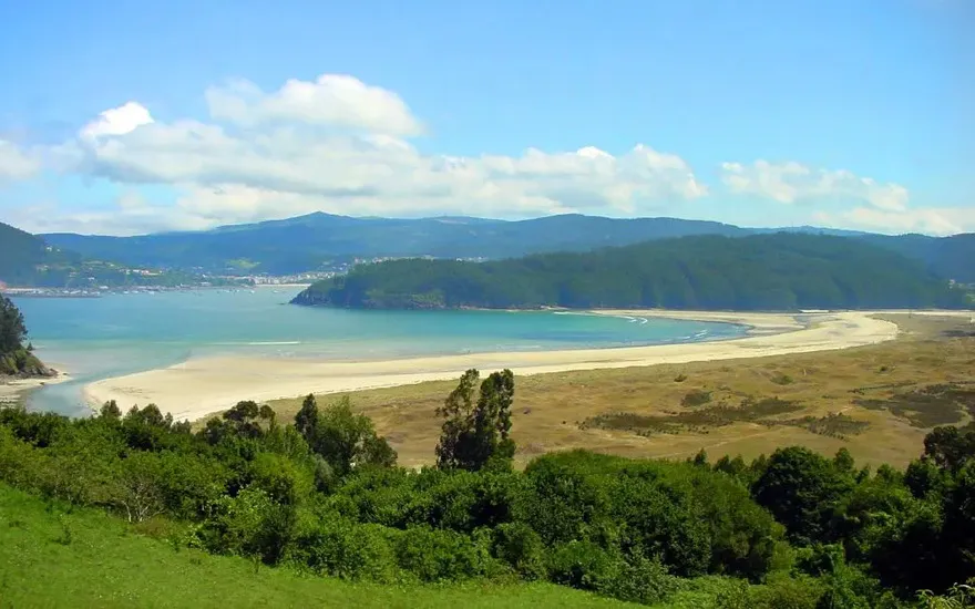 Imagen de Playas caninas en A Coruña, Galicia