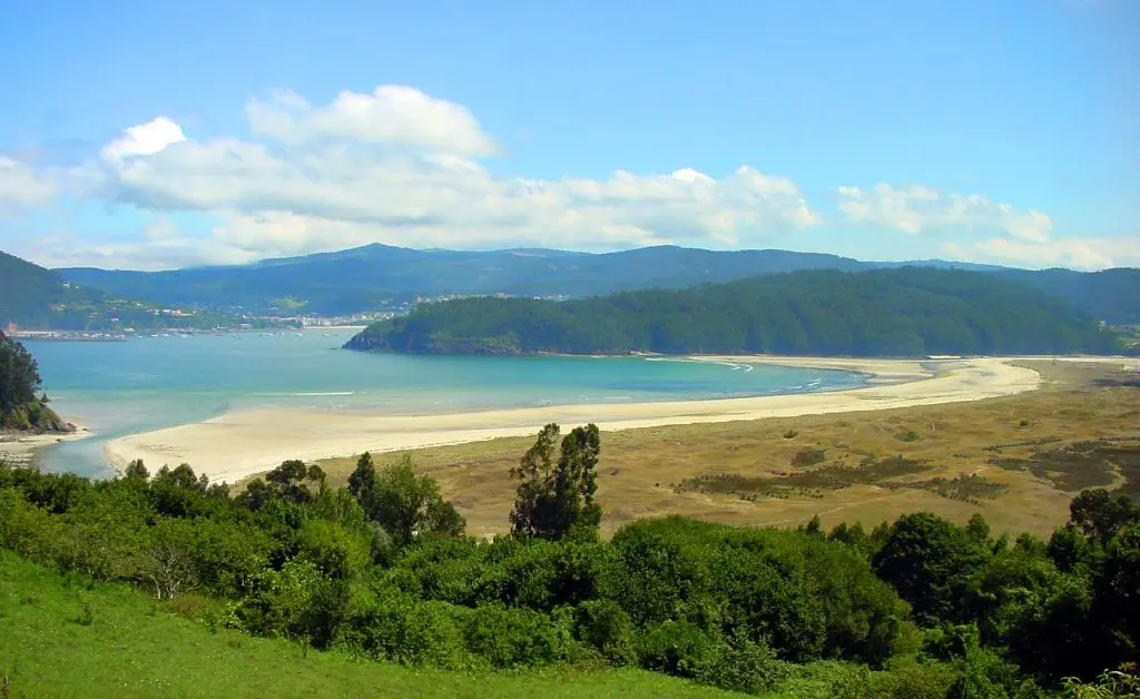 Playa en A Coruña para perros