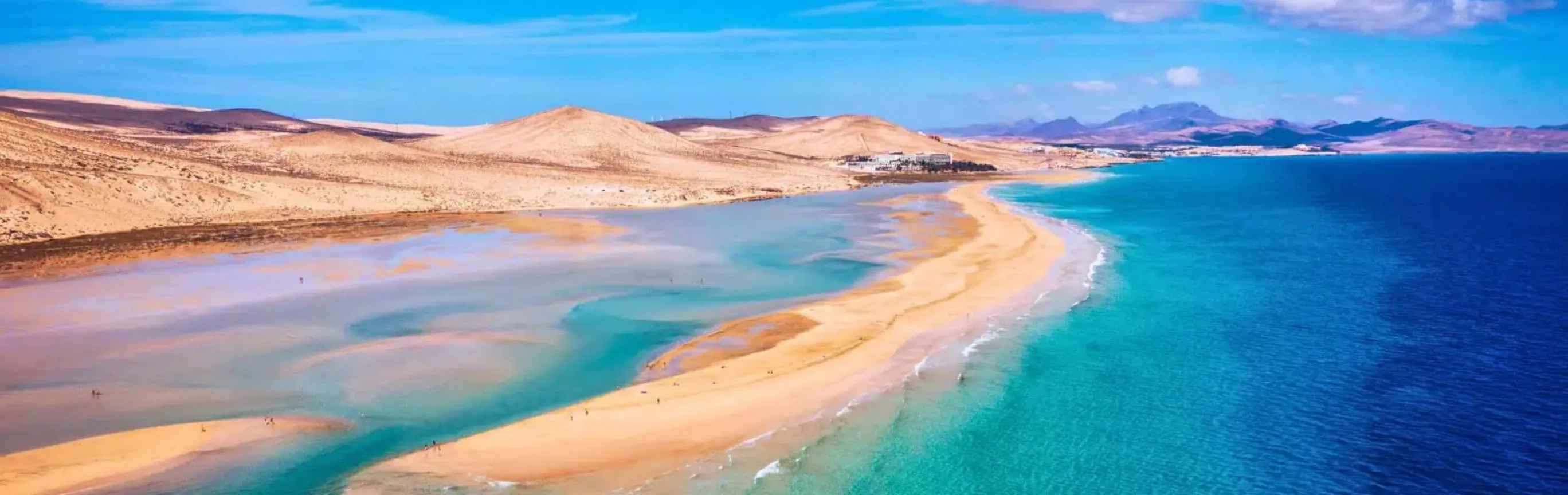 Imagen de Playas caninas en Fuerteventura