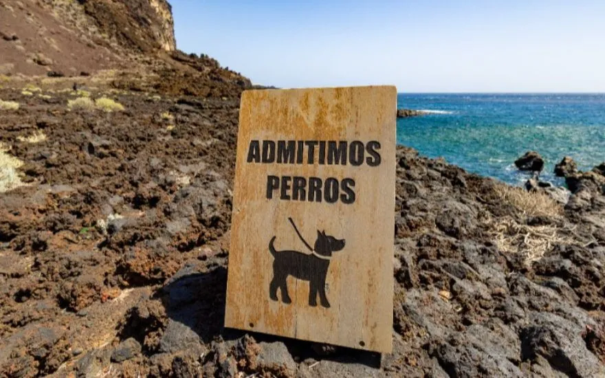 Imagen de Guia de playas caninas en Gran Canaria actualizada 2026