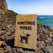 Imagen de Guia de playas caninas en Gran Canaria actualizada 2026