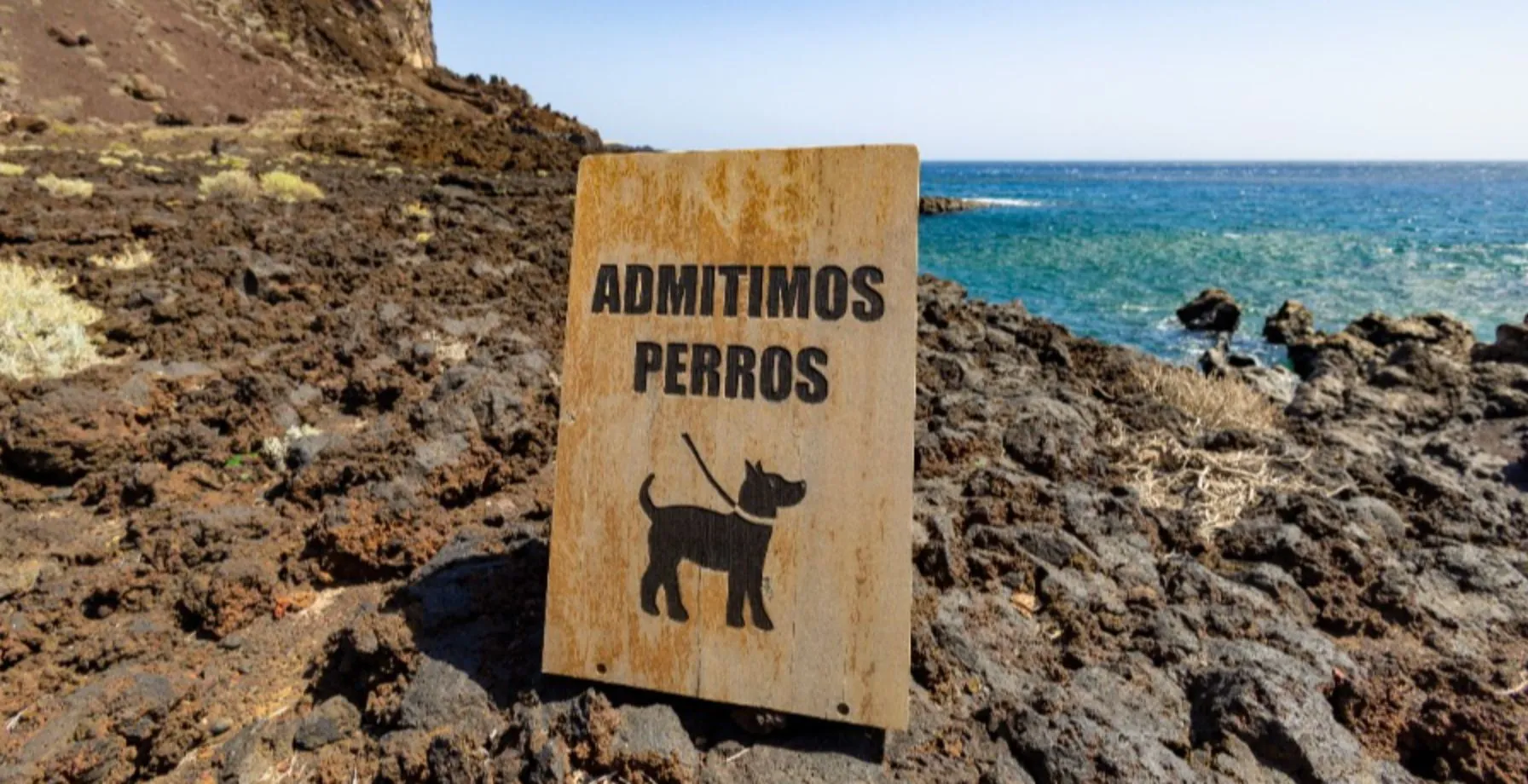 Imagen de Guia de playas caninas en Gran Canaria actualizada 2026