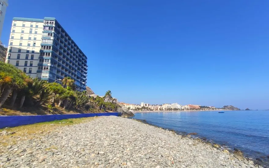 Imagen de Playas caninas en Granada: guía completa para ir con perro