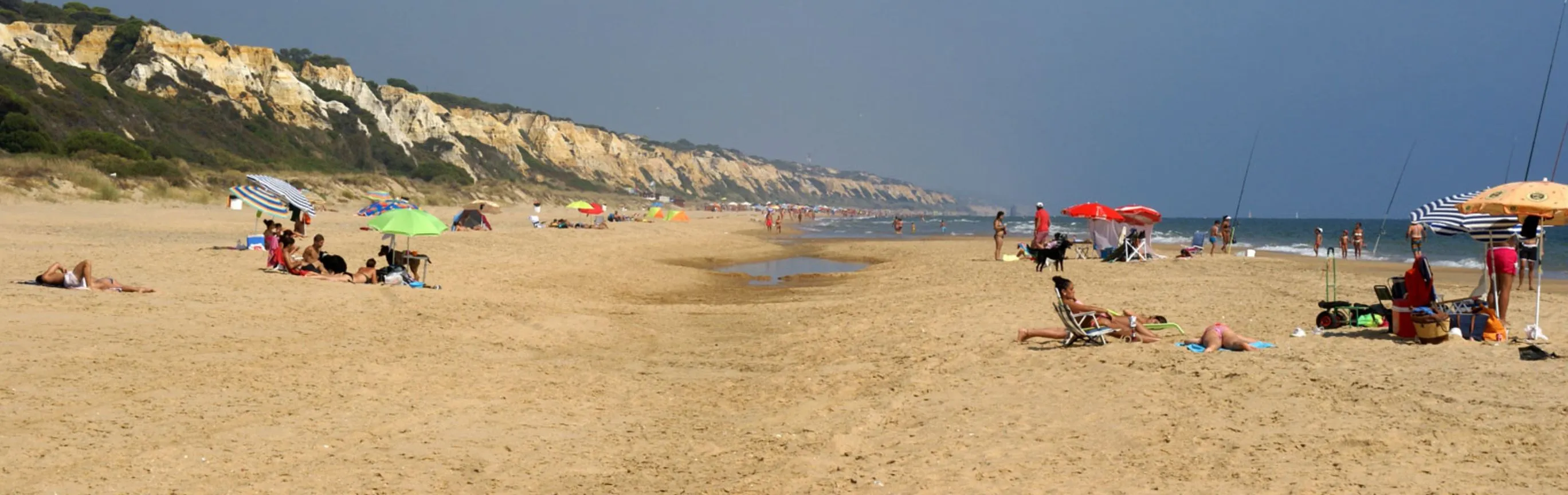 Imagen de Playas caninas en Huelva: guía actualizada para ir con perro