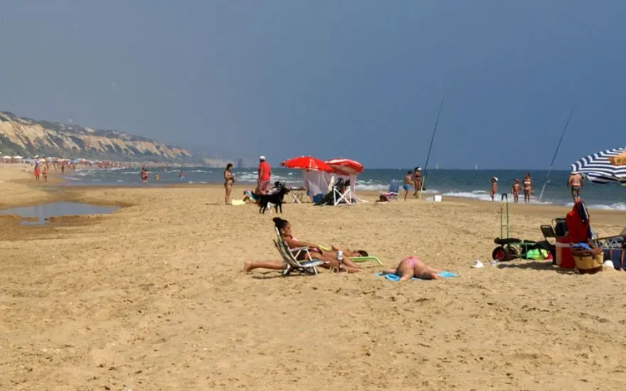Imagen de Playas caninas en Huelva: guía actualizada para ir con perro