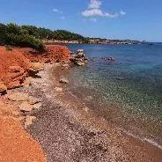 Imagen de Playas caninas en Ibiza