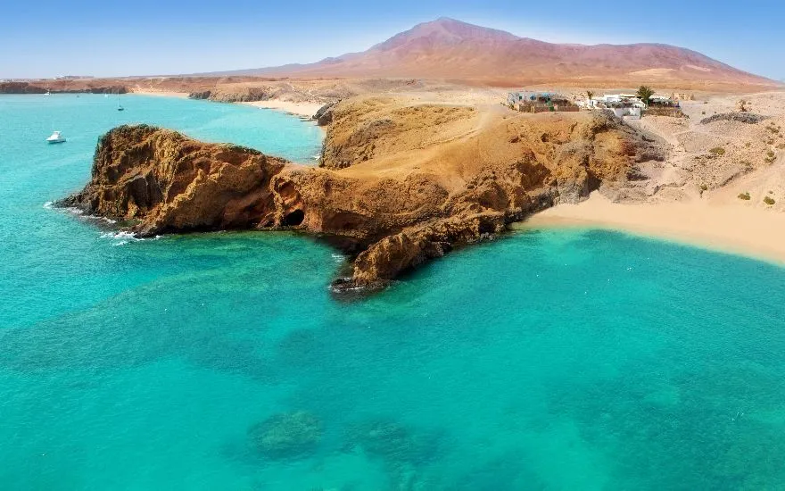 Imagen de Playas caninas en Lanzarote: Guia completa para ir con perro en 2026
