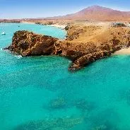 Imagen de Playas caninas en Lanzarote: Guia completa para ir con perro en 2026