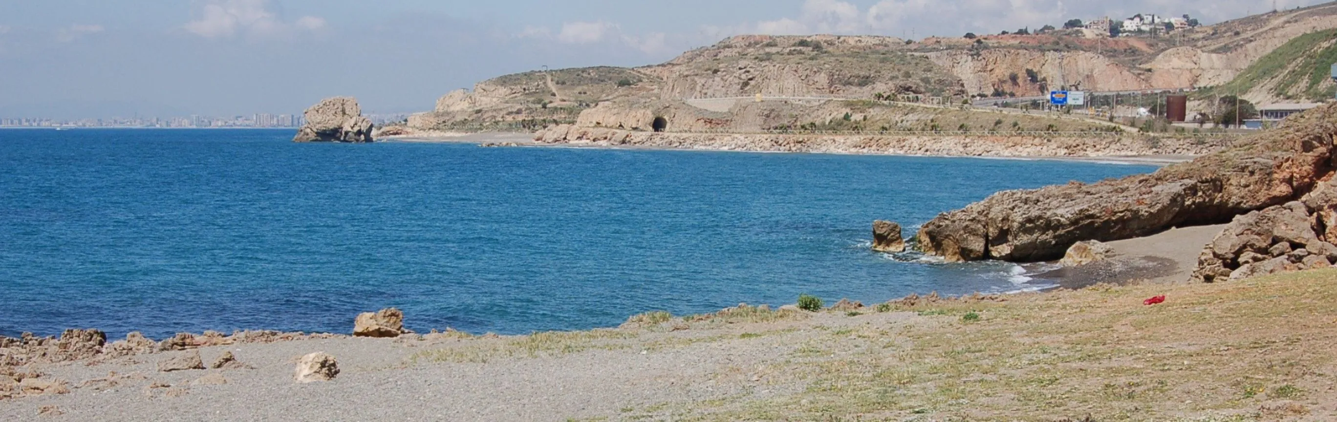 Imagen de Playas caninas en Málaga: guía completa para ir con perro