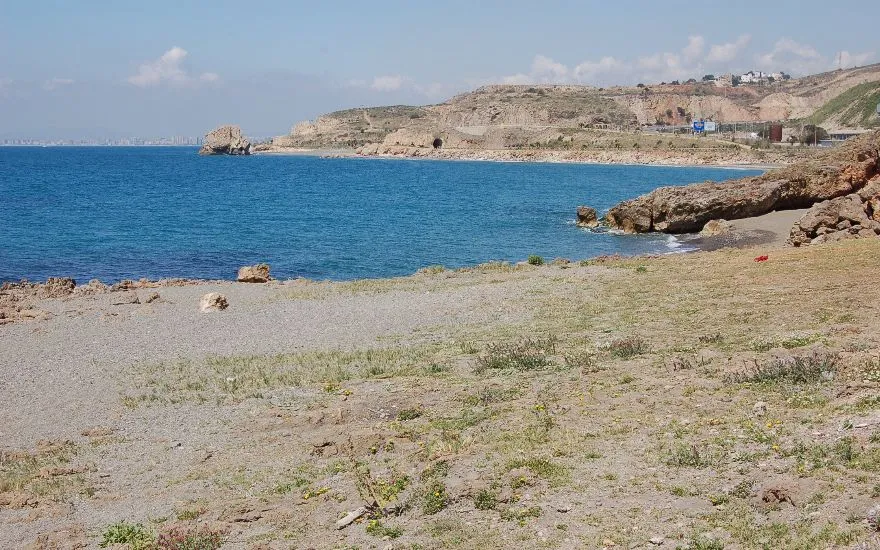 Imagen de Playas caninas en Málaga: guía completa para ir con perro
