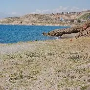 Imagen de Playas caninas en Málaga: guía completa para ir con perro