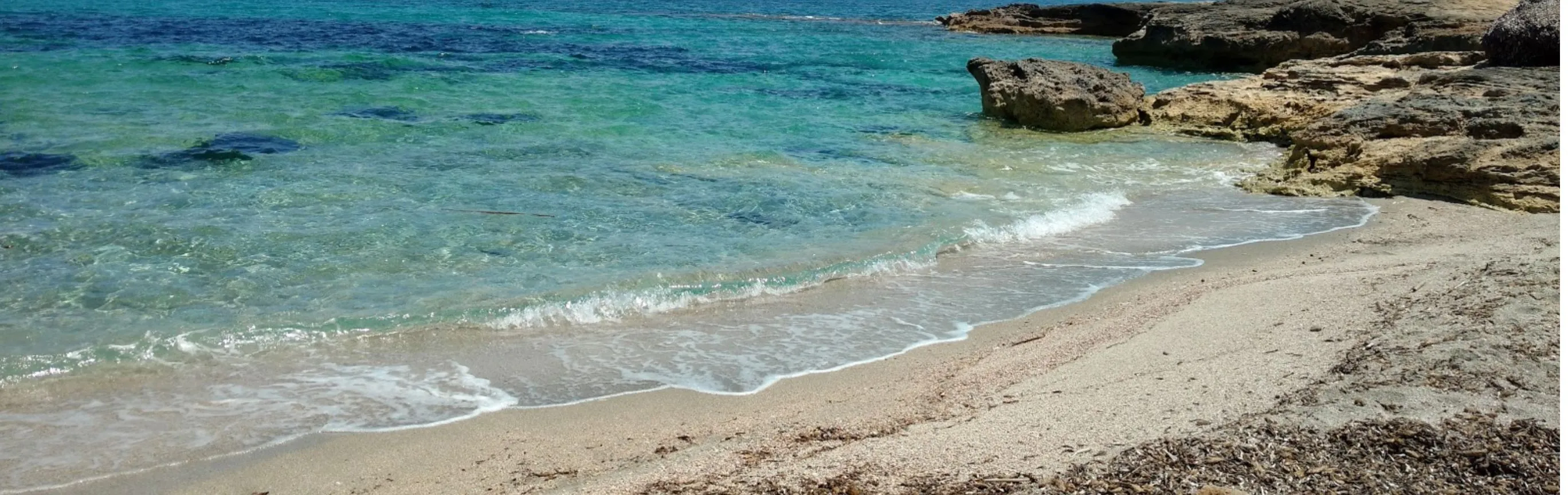 Imagen de Playas caninas en Mallorca