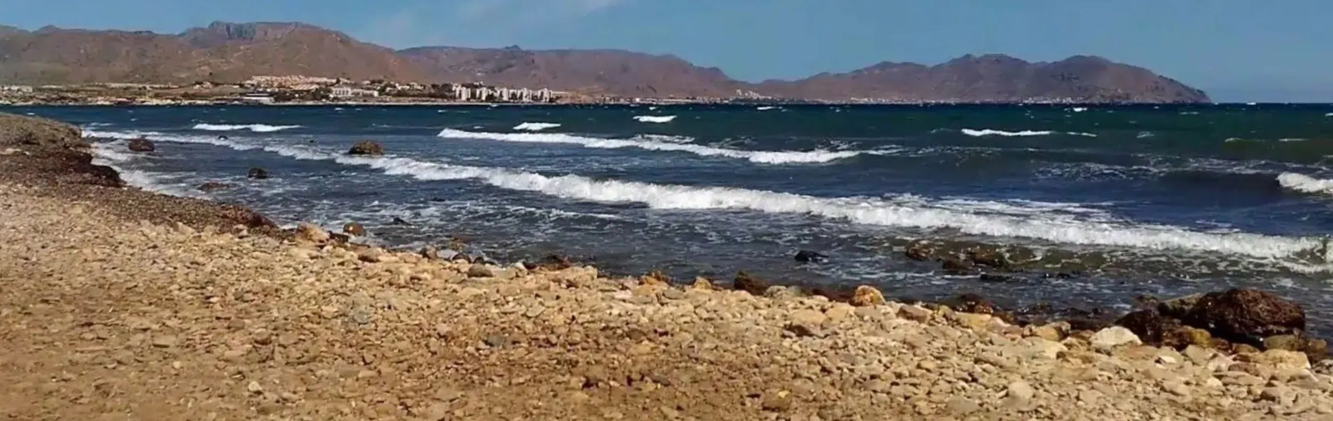 Imagen de Playas caninas en Murcia: guía completa para ir con perro