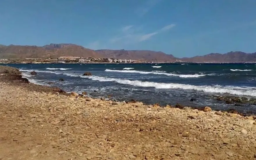 Imagen de Playas caninas en Murcia: guía completa para ir con perro
