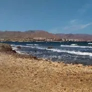 Imagen de Playas caninas en Murcia: guía completa para ir con perro