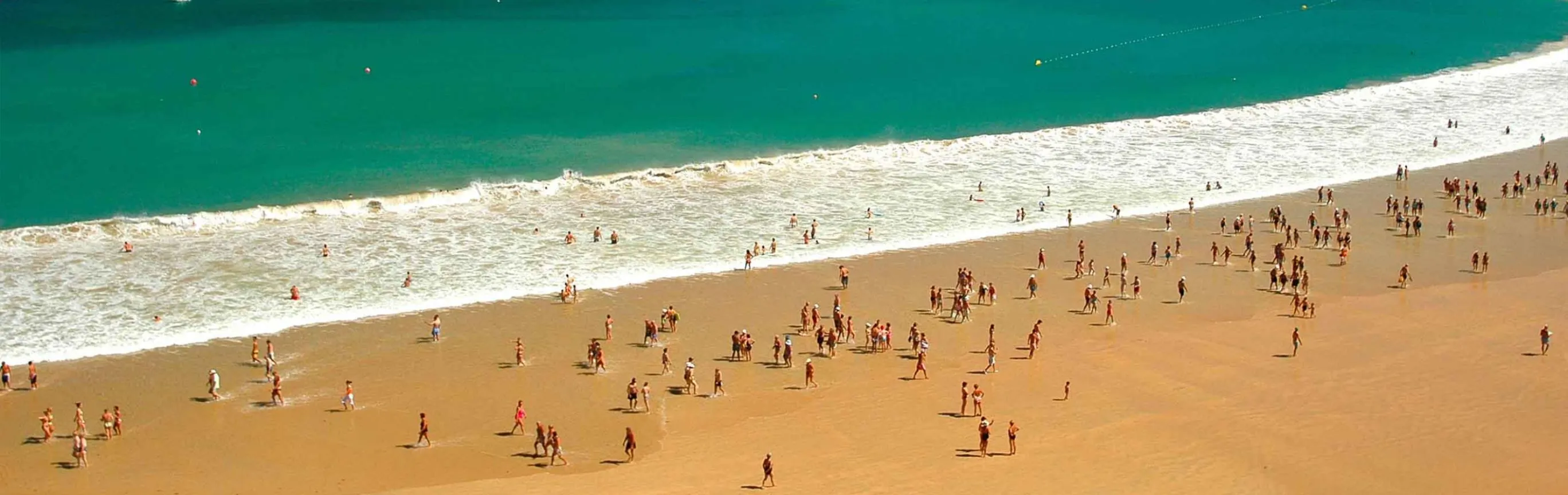Imagen de Playas para ir con perro en el País Vasco (Euskadi)