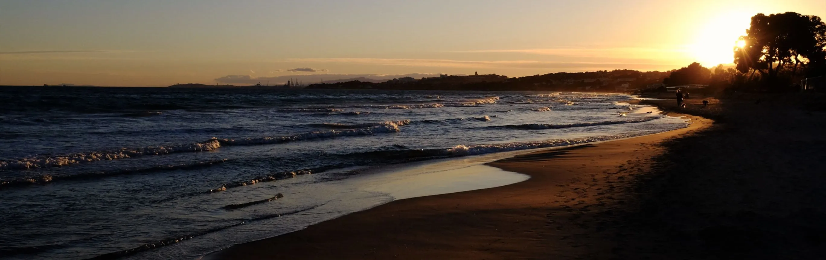 Imagen de Playas caninas en Tarragona