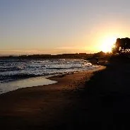 Imagen de Playas caninas en Tarragona