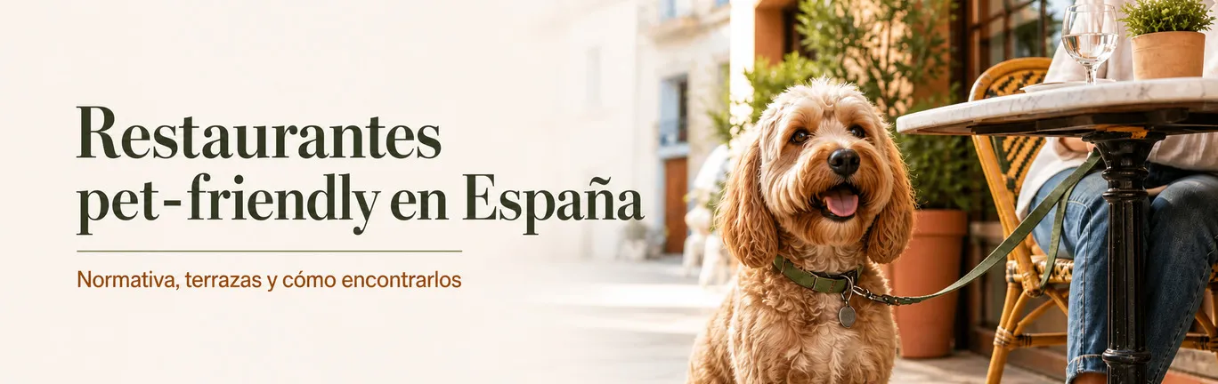 Imagen de Restaurantes y terrazas petfriendly en España: qué dice la ley y cómo encontrarlos